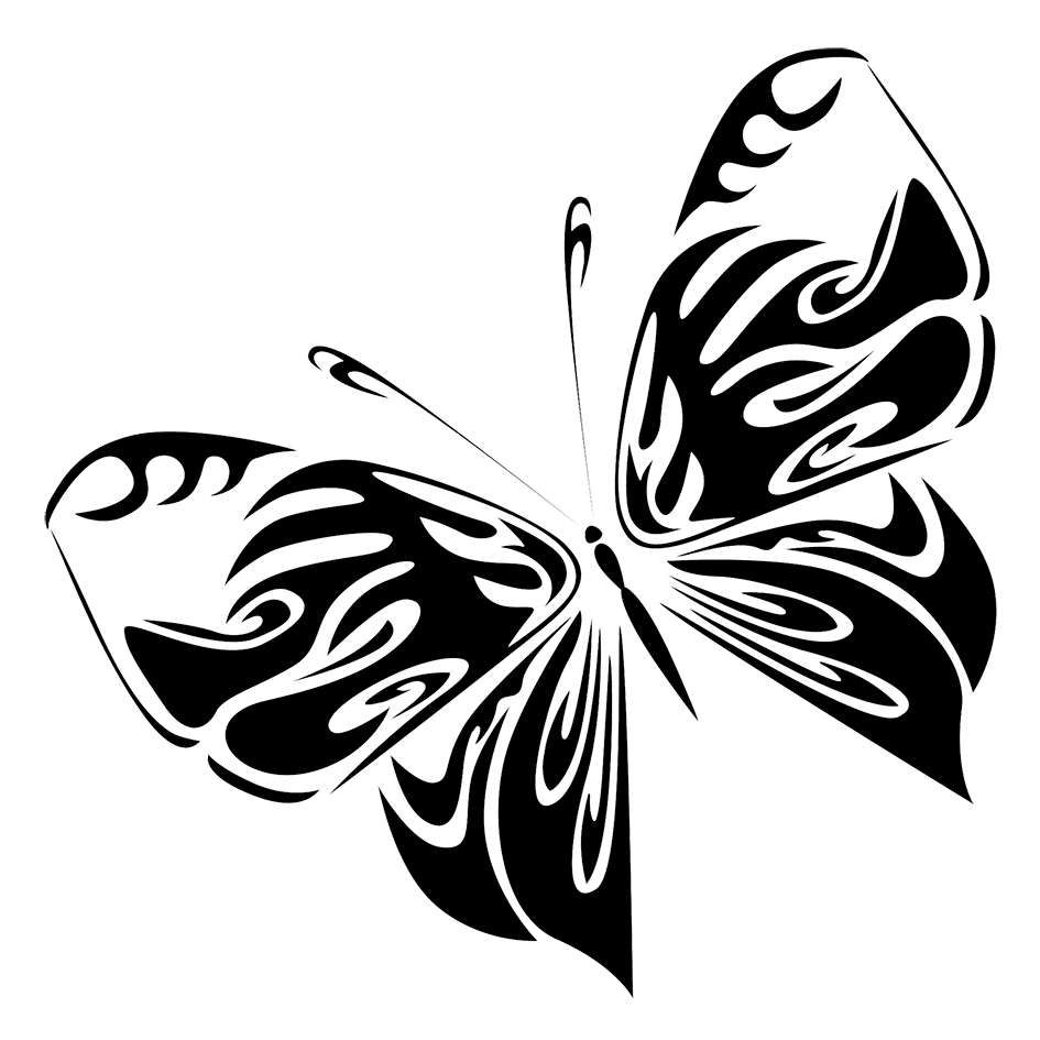 Butterfly black and white clipart photo