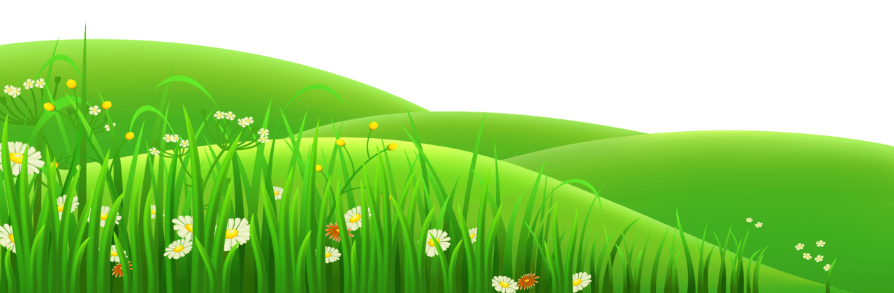 Garden flowers and grass clipart vector