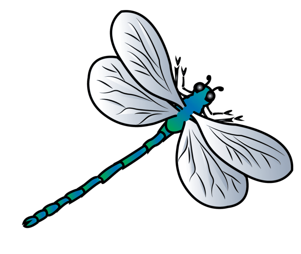 Dragonfly images mart clipart