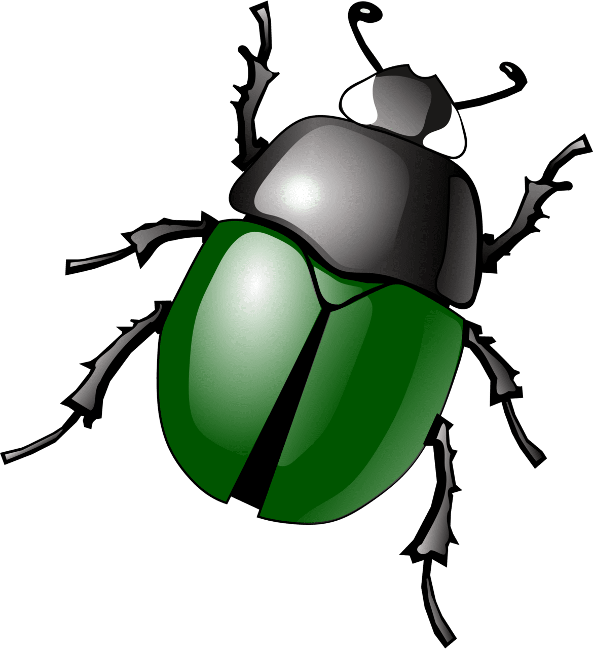 Ladybug green bug clipart transparent