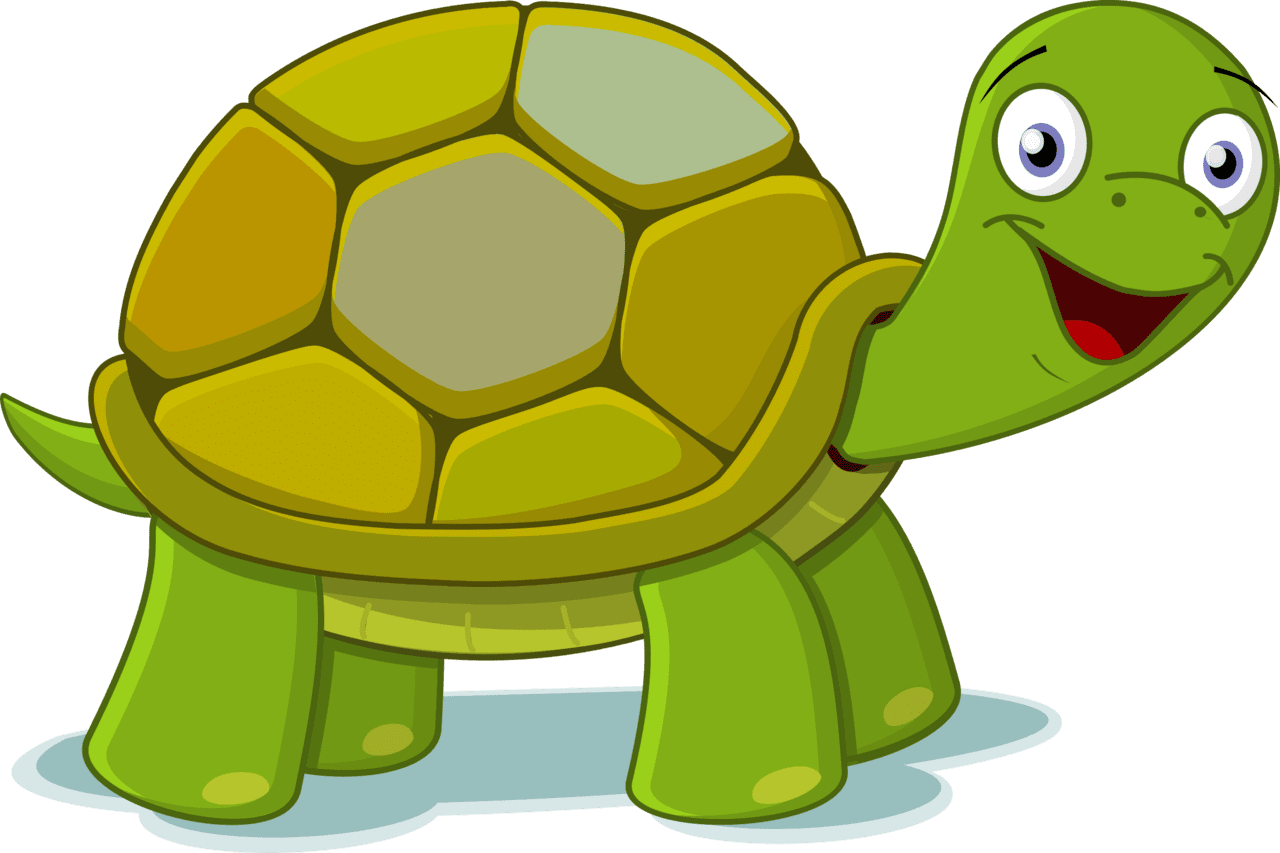 Sea turtle clipart vector