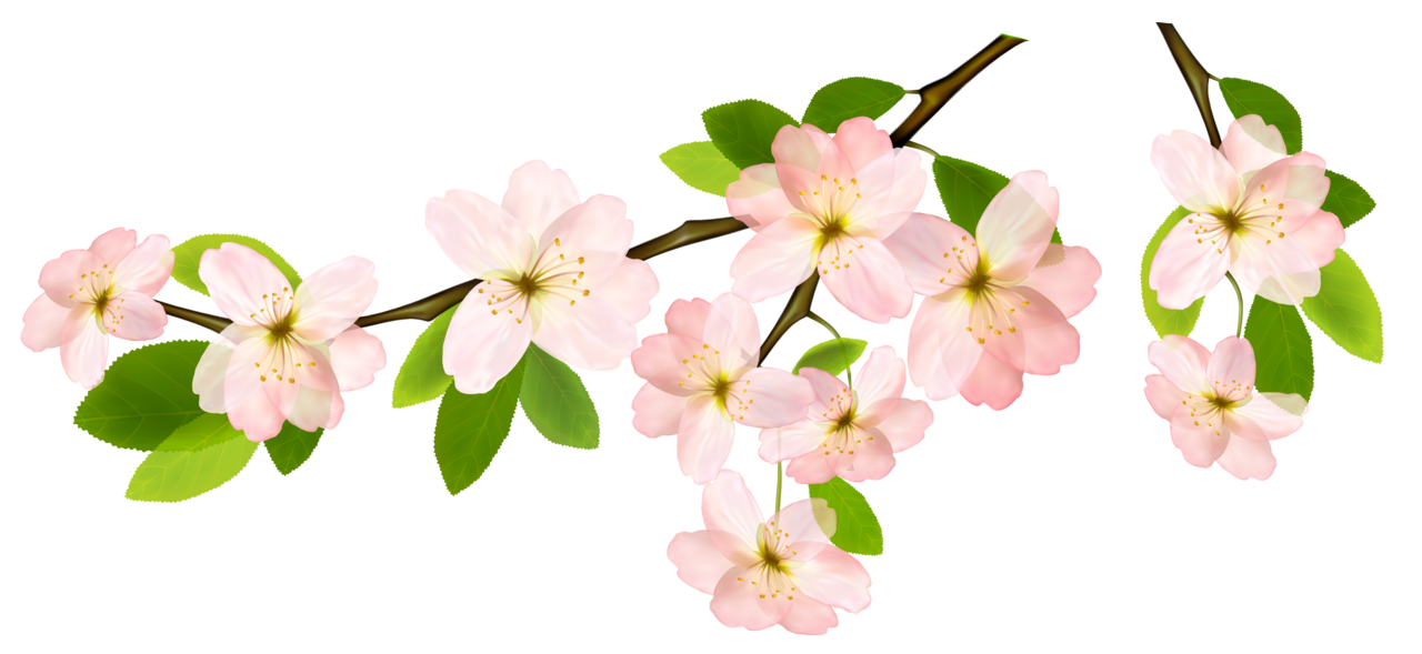 Spring flowers branch clipart picture