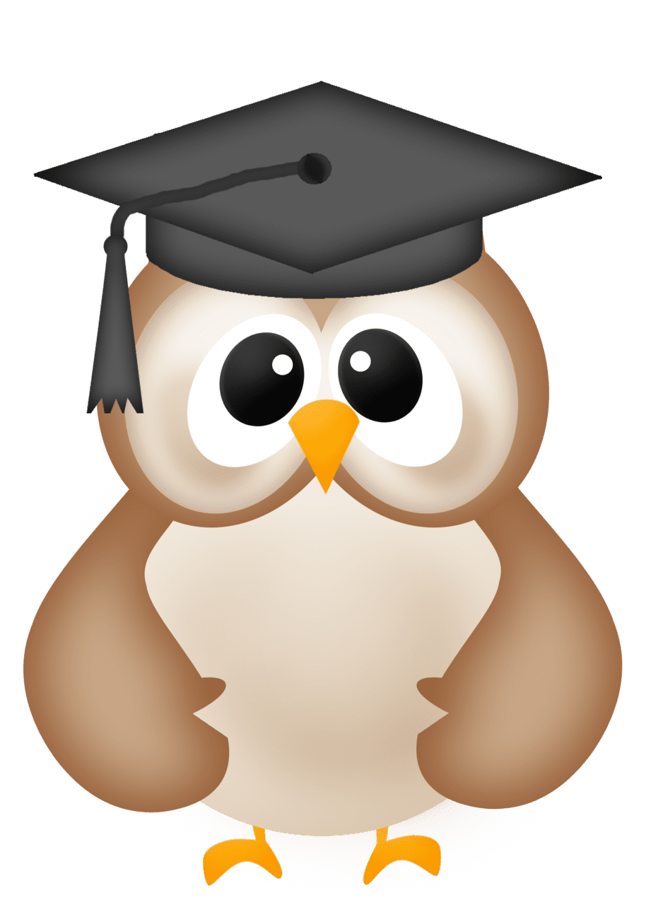 Graduation hat owl clipart panda images