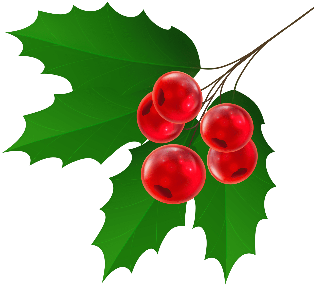 Christmas holly clipart high quality images and