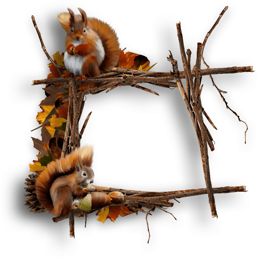 Squirrel frames cluster clipart clip art