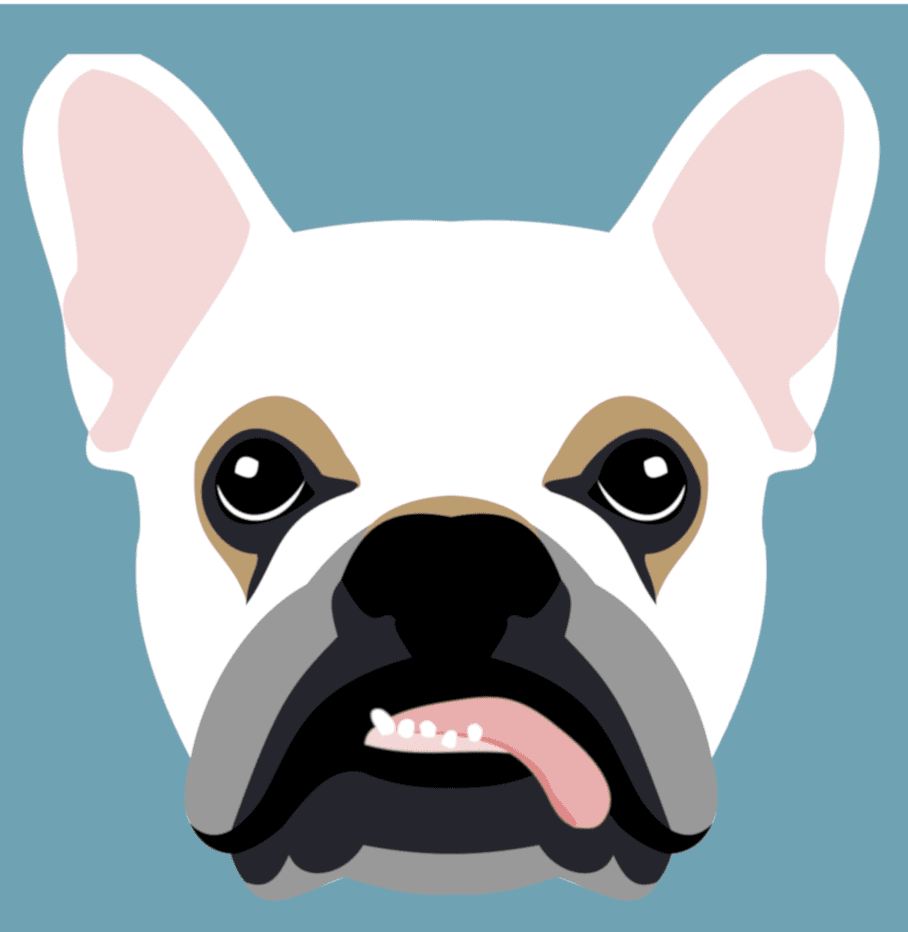 Bulldog frenchie vector drawing clipart