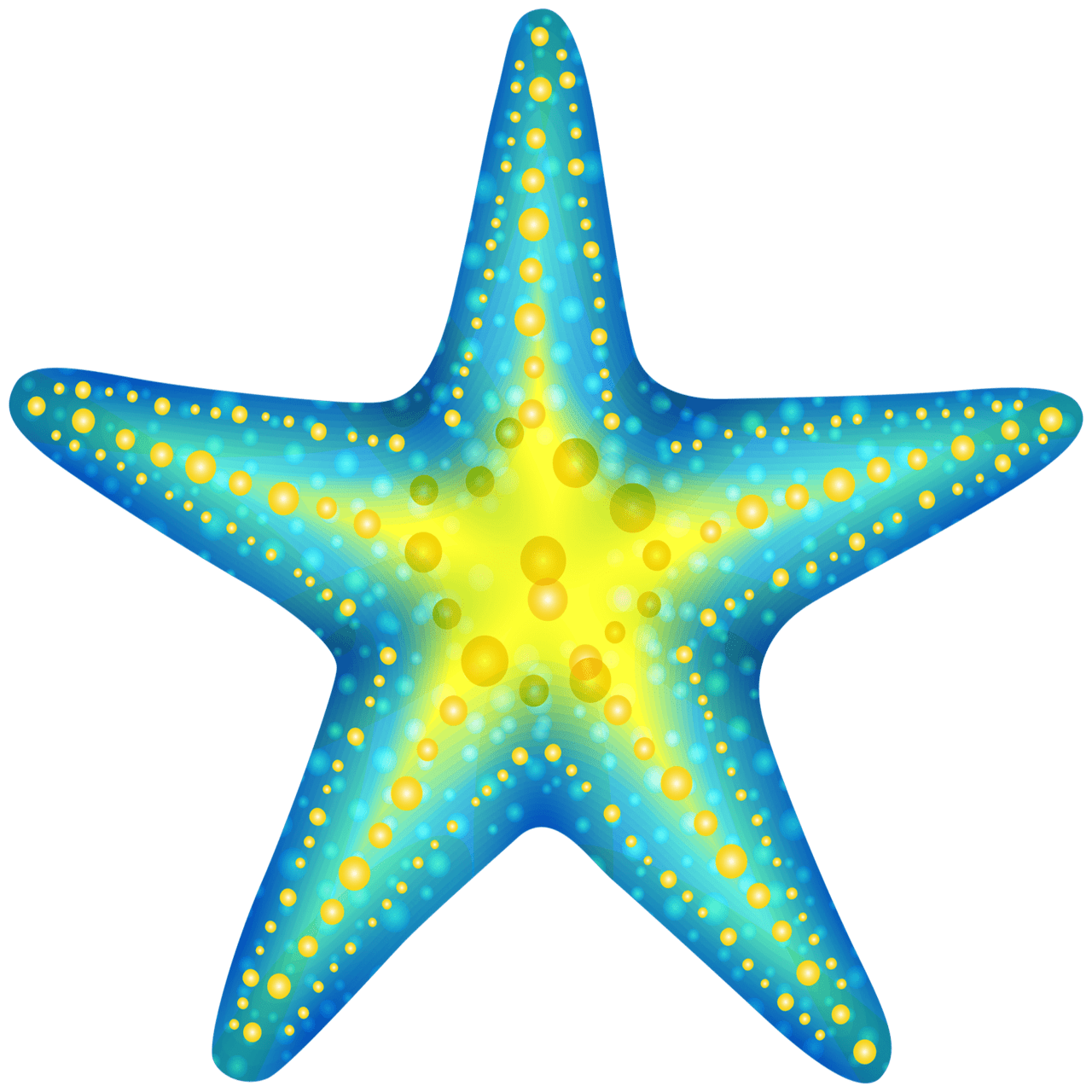 Starfish star fish images hd photo clipart