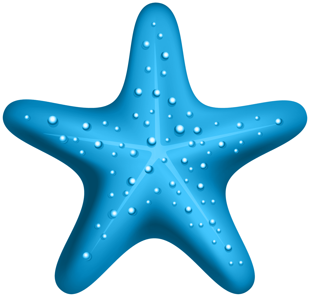 Blue starfish clipart high quality images and