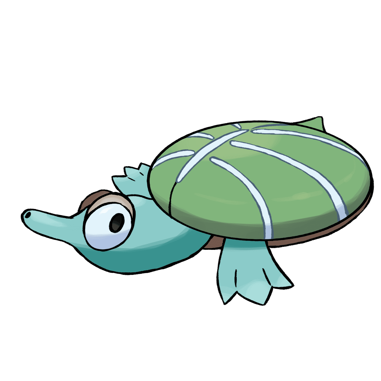 Sea turtle carapad clipart photo
