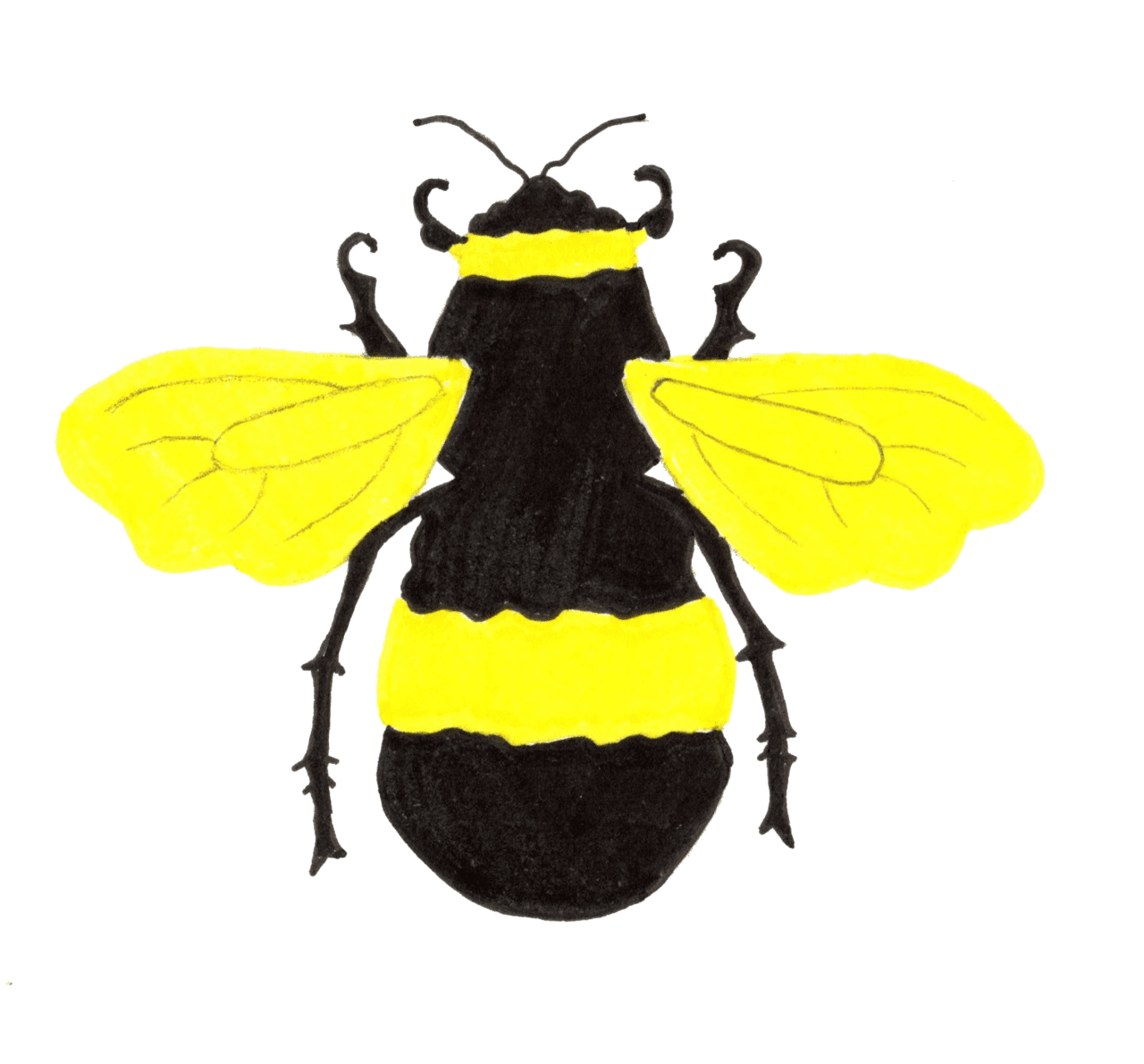 Bumblebee pin page clipart photo