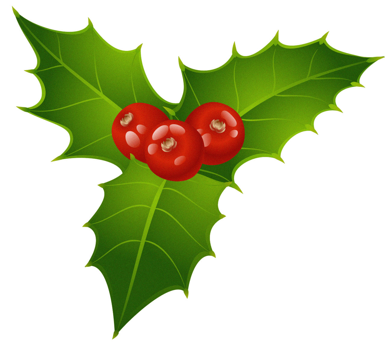 Holly christmas mistletoe clipart picture