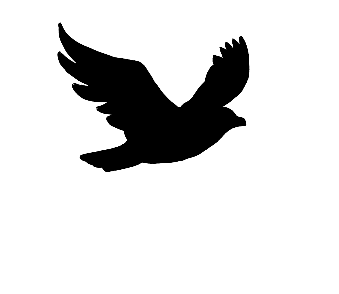 Dove silhouette bird flight by clipart best picture