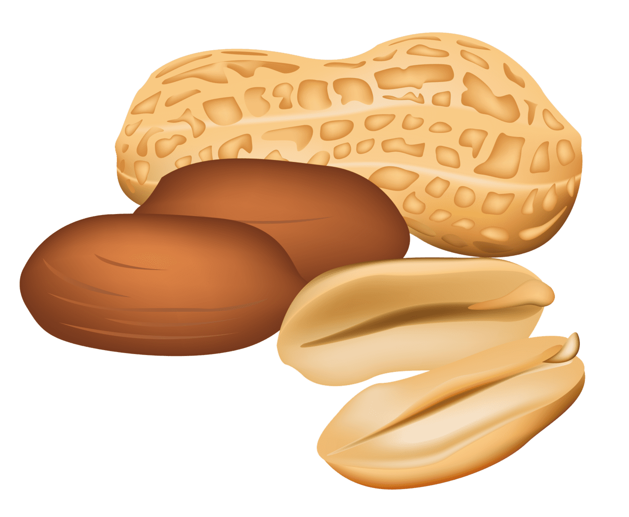 Snack peanuts clipart picture