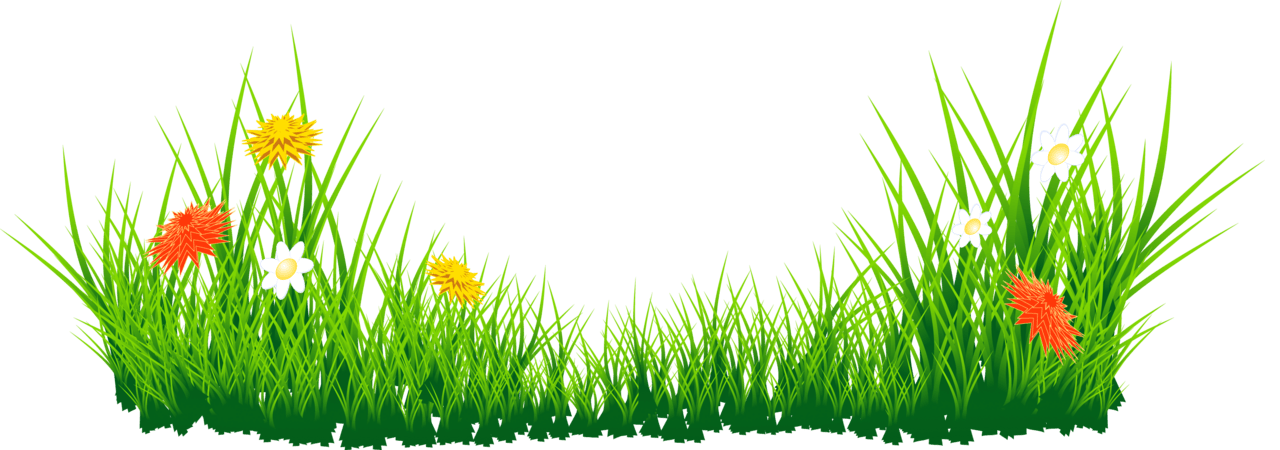 Garden flowers with grass picture clipart