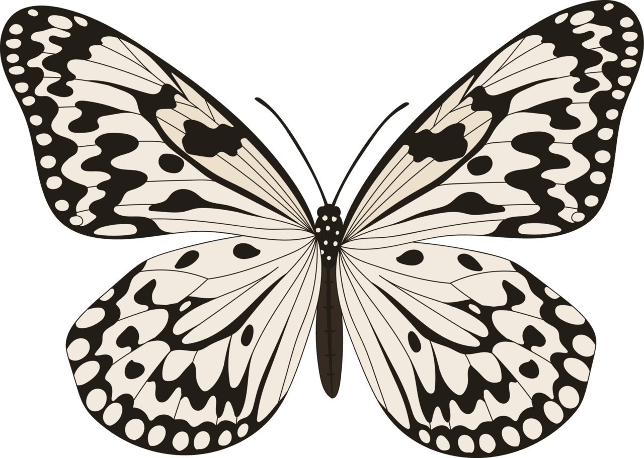 Butterfly black and white hand drawn clipart free