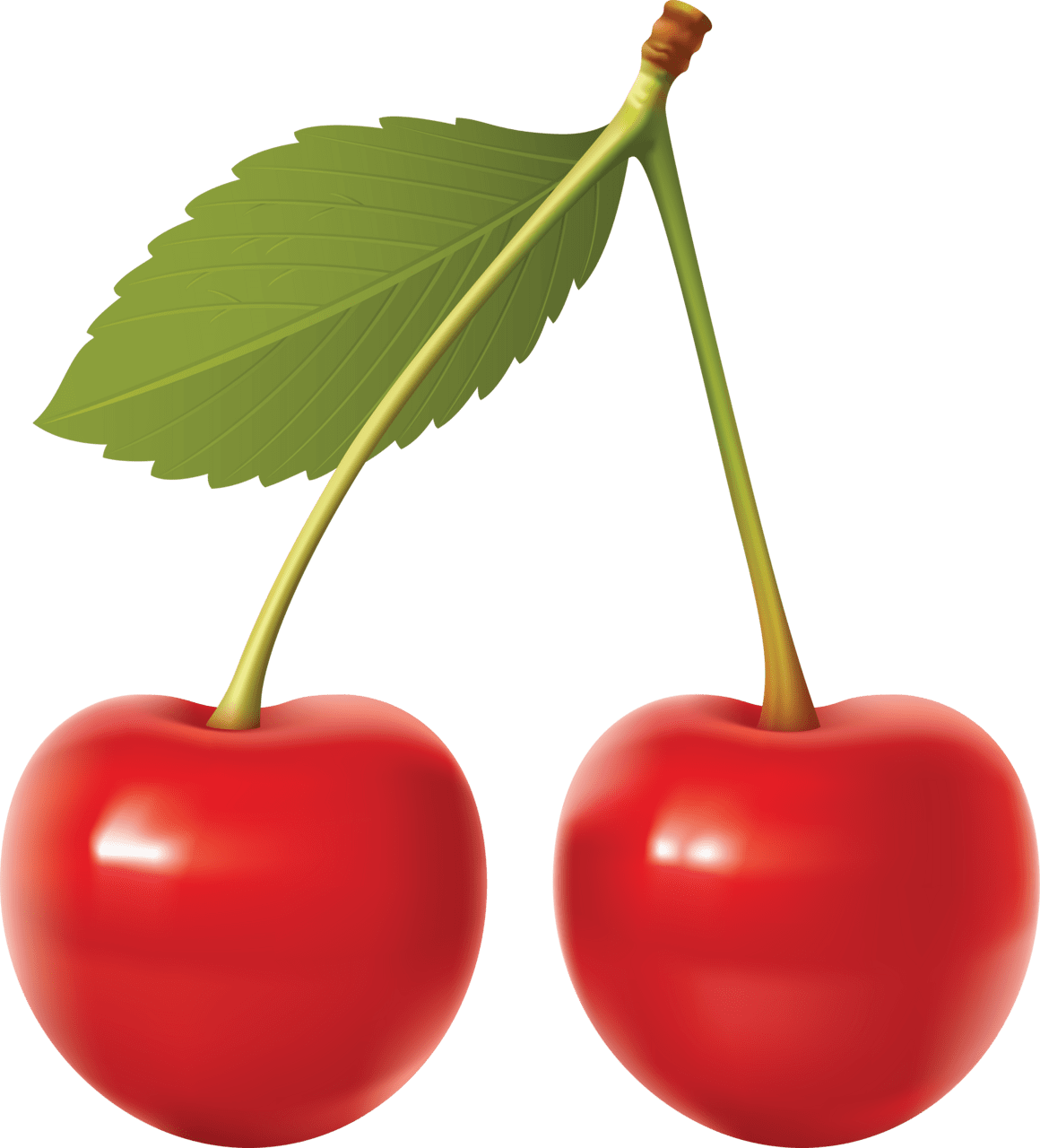 Cherry cherries image for clipart