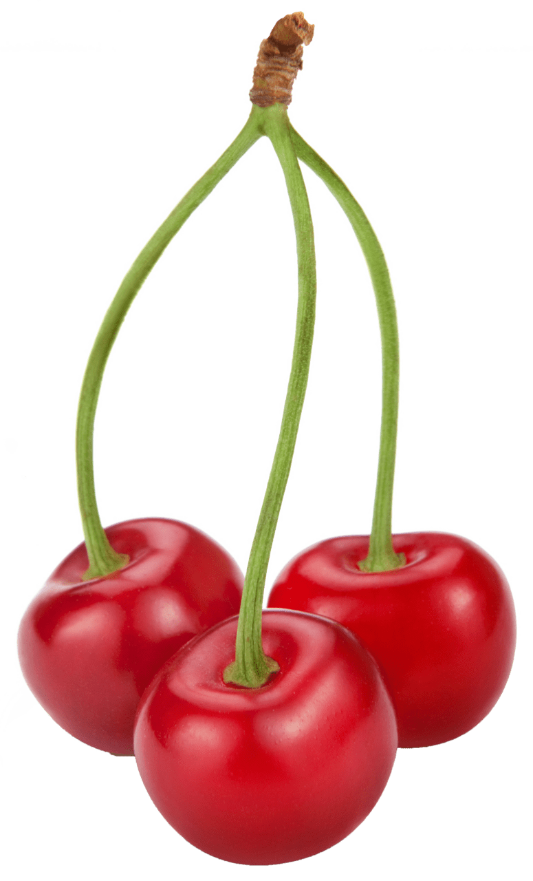 Cherry cherries clipart clip art 2