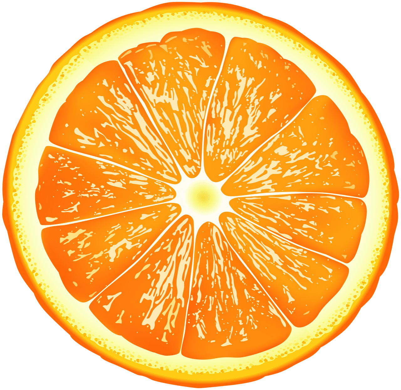 Orange slice clipart high quality images and