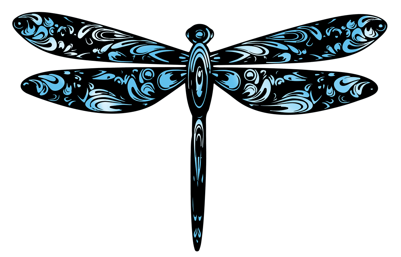 Insect dragonfly cut image clipart