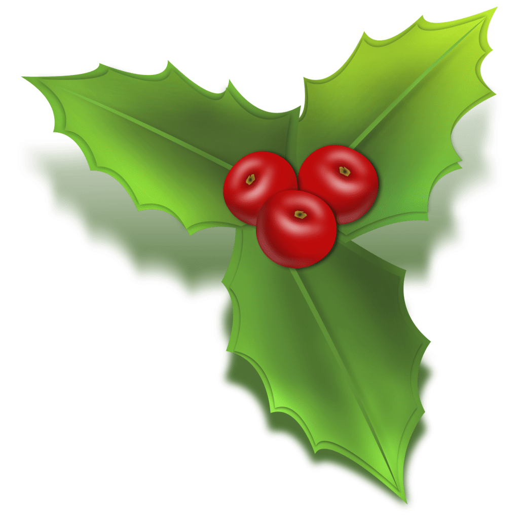 Holly vector in format clipart