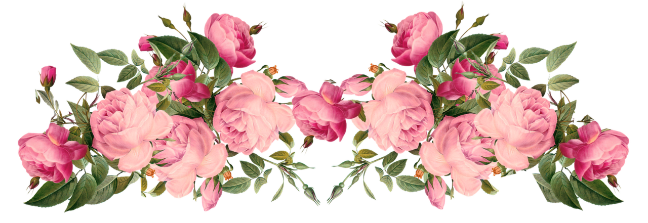 Flower border flowers borders pink rose fr clipart transparent