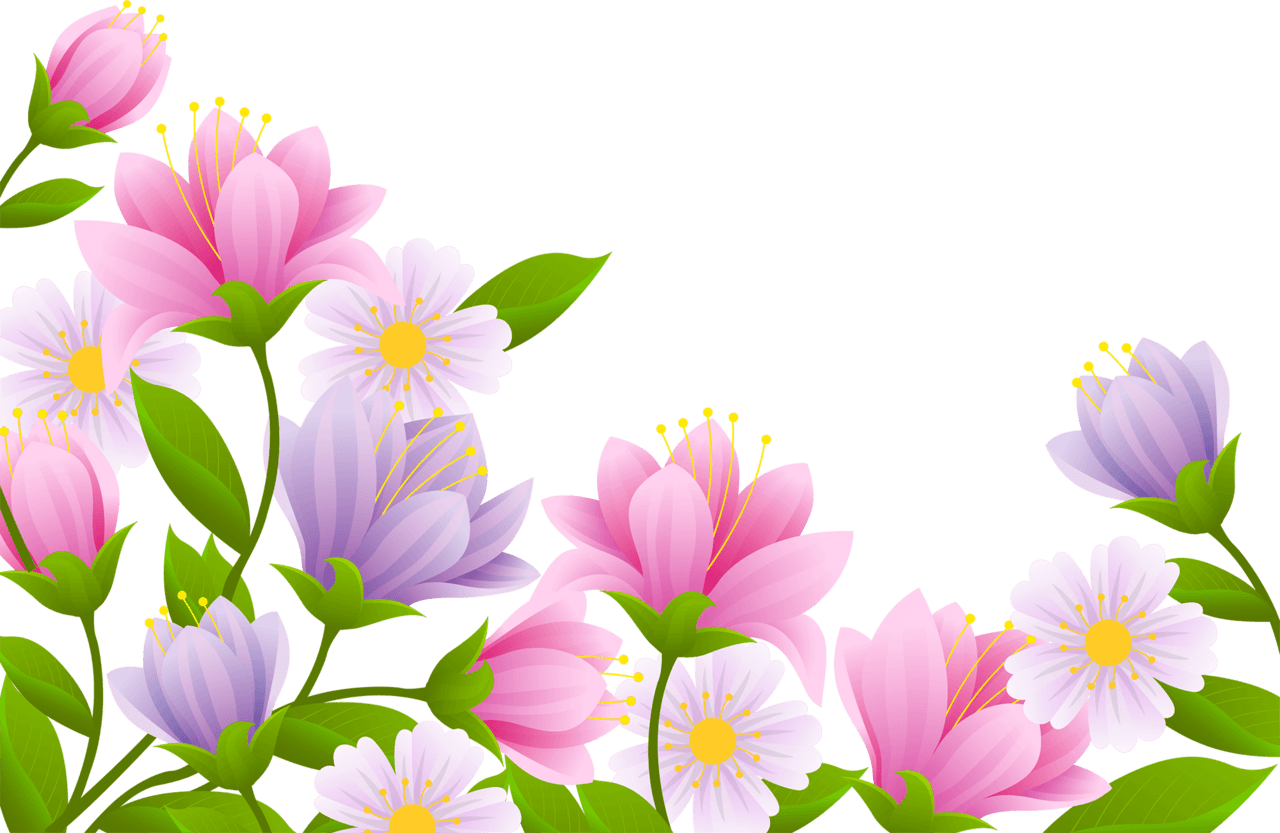 Spring flowers beautiful jasmine flower clipart vector