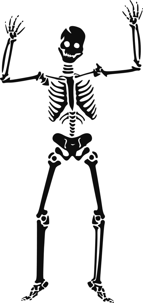 Skeleton skull clipart picture