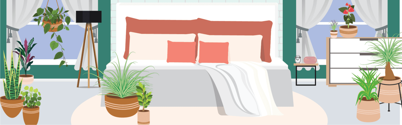 Find out which bedroom plants will work best for you clipart photo