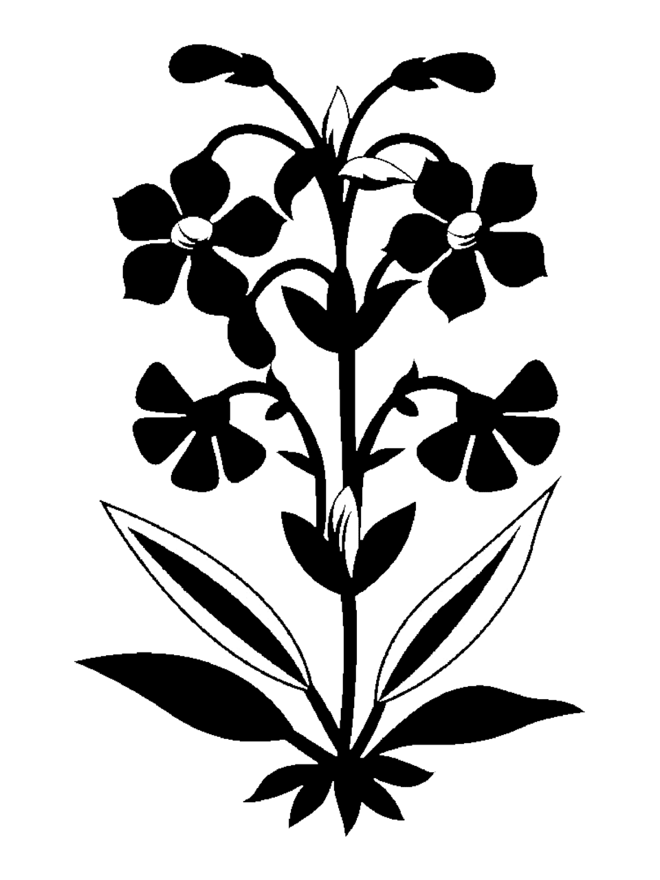 Flowers black and white pin page clipart background