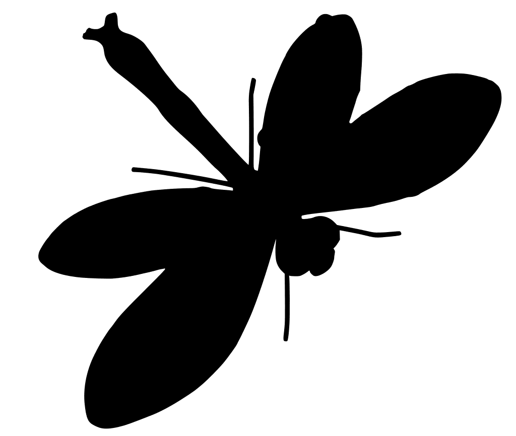 Dragonfly image silh clipart