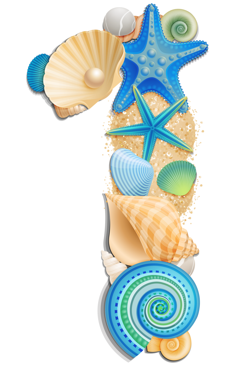 Seashell number sea style clipart picture