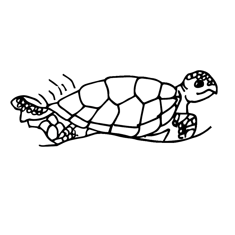 Sea turtle pin page clipart photo