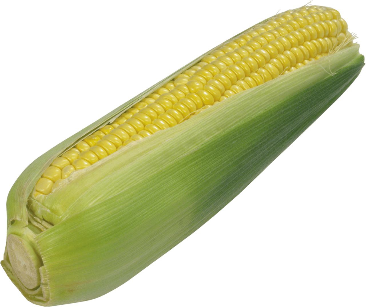 Corn image for clipart 2
