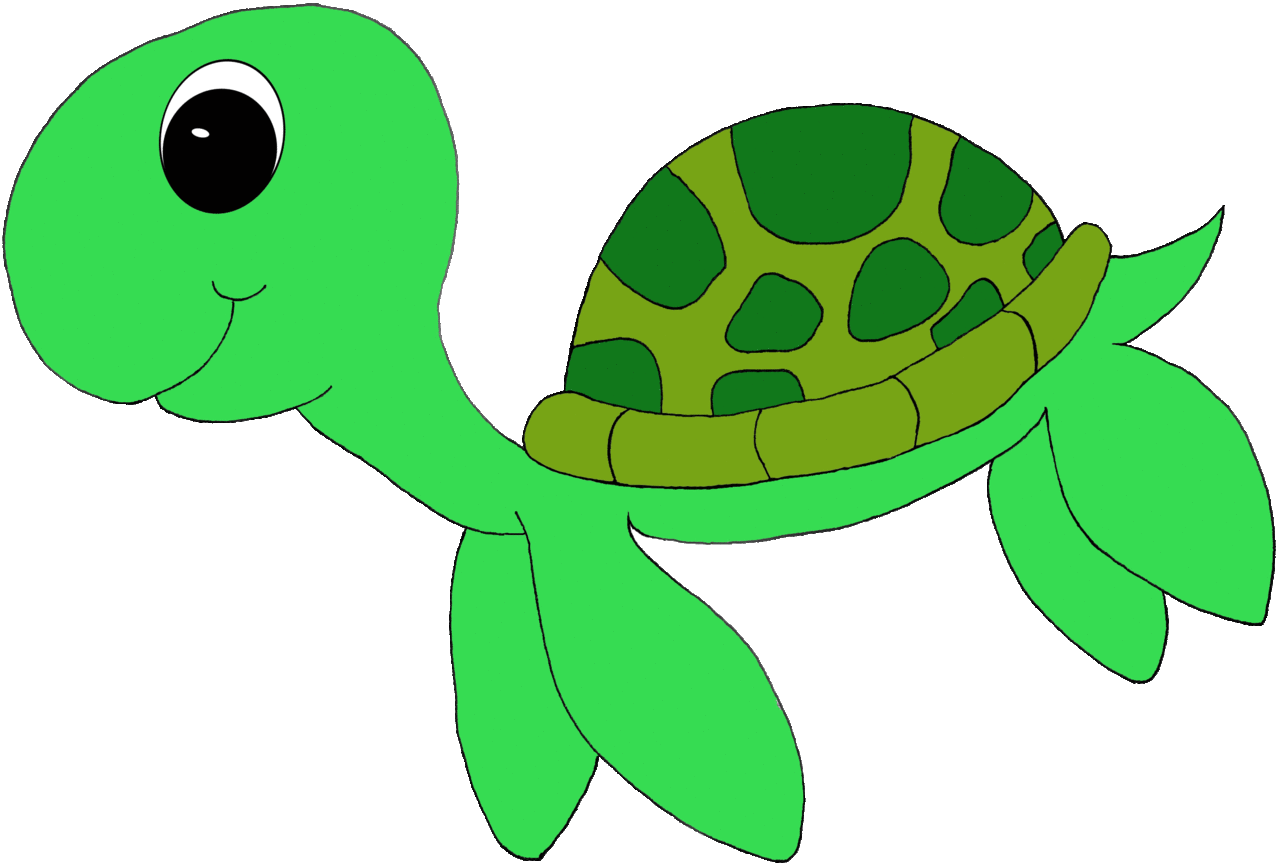 Swimming turtle clipart photo