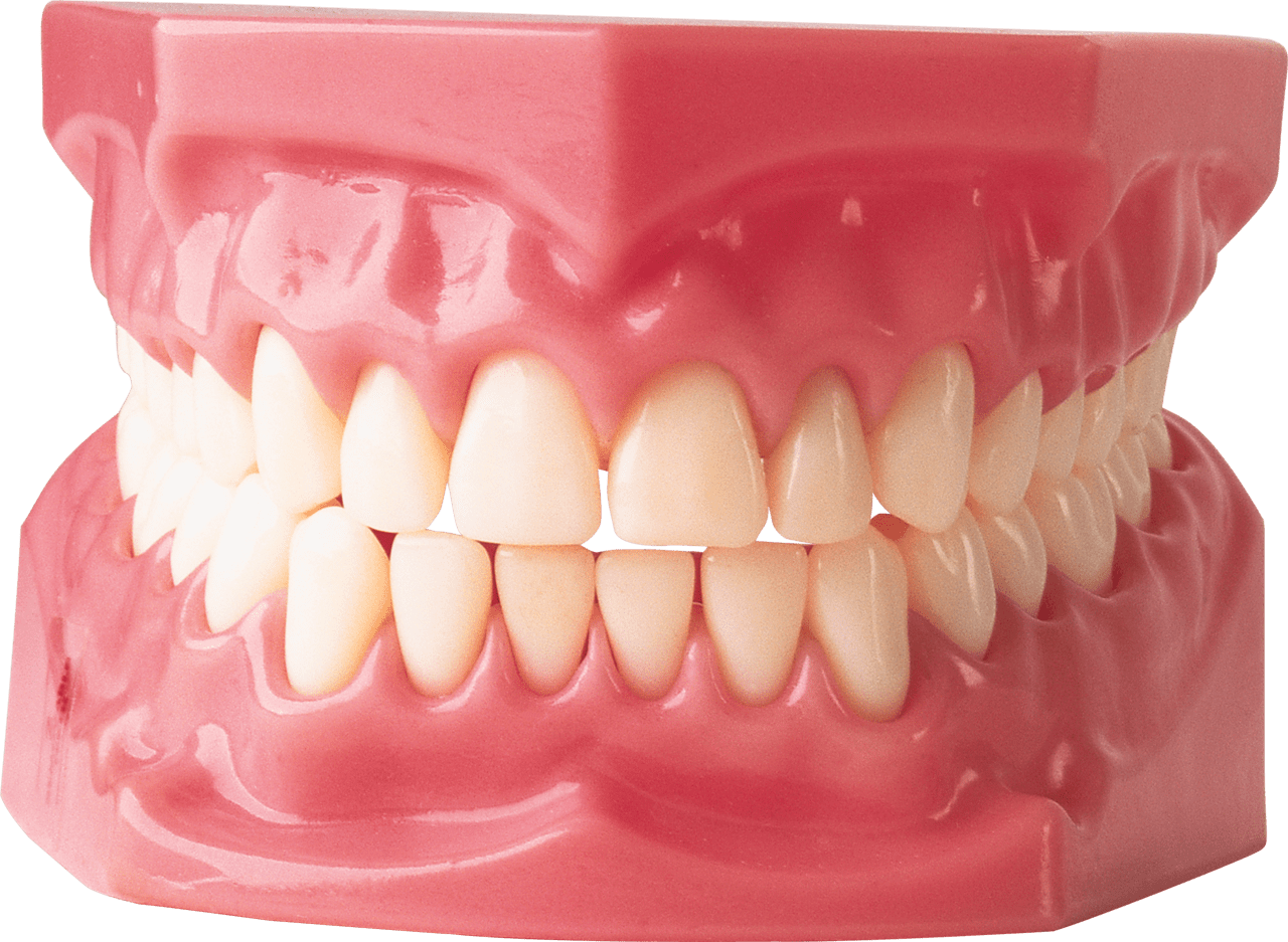Teeth clipart picture