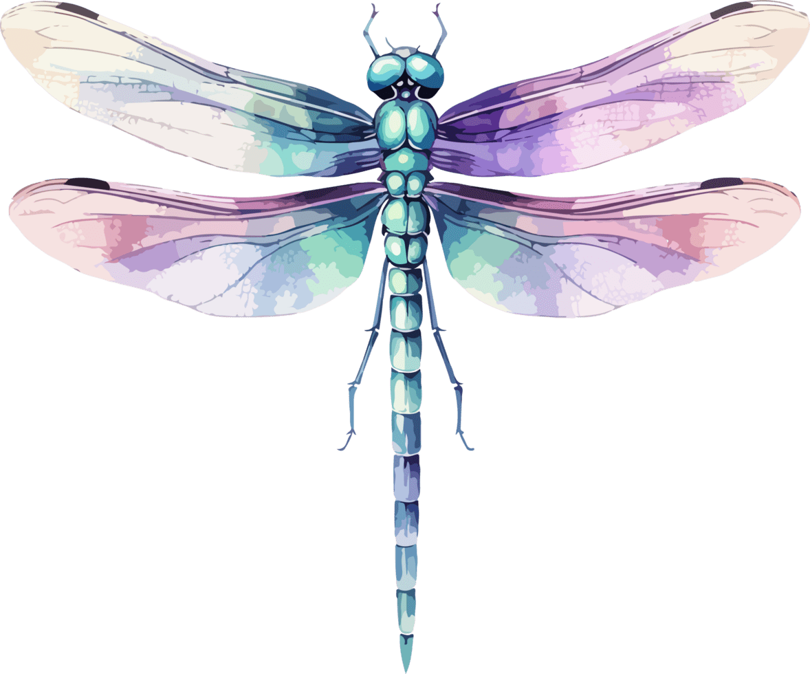 Dragonfly clipart design photo