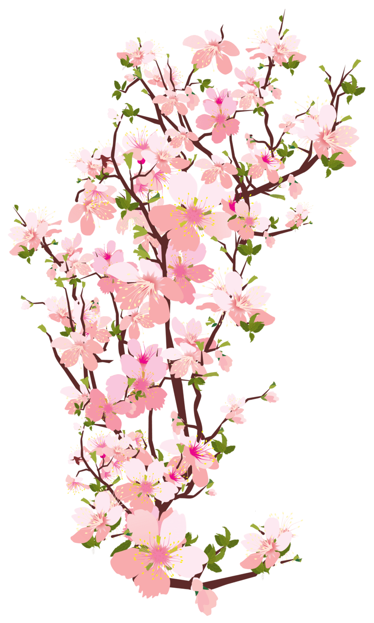 Spring flowers tree branch clipart image