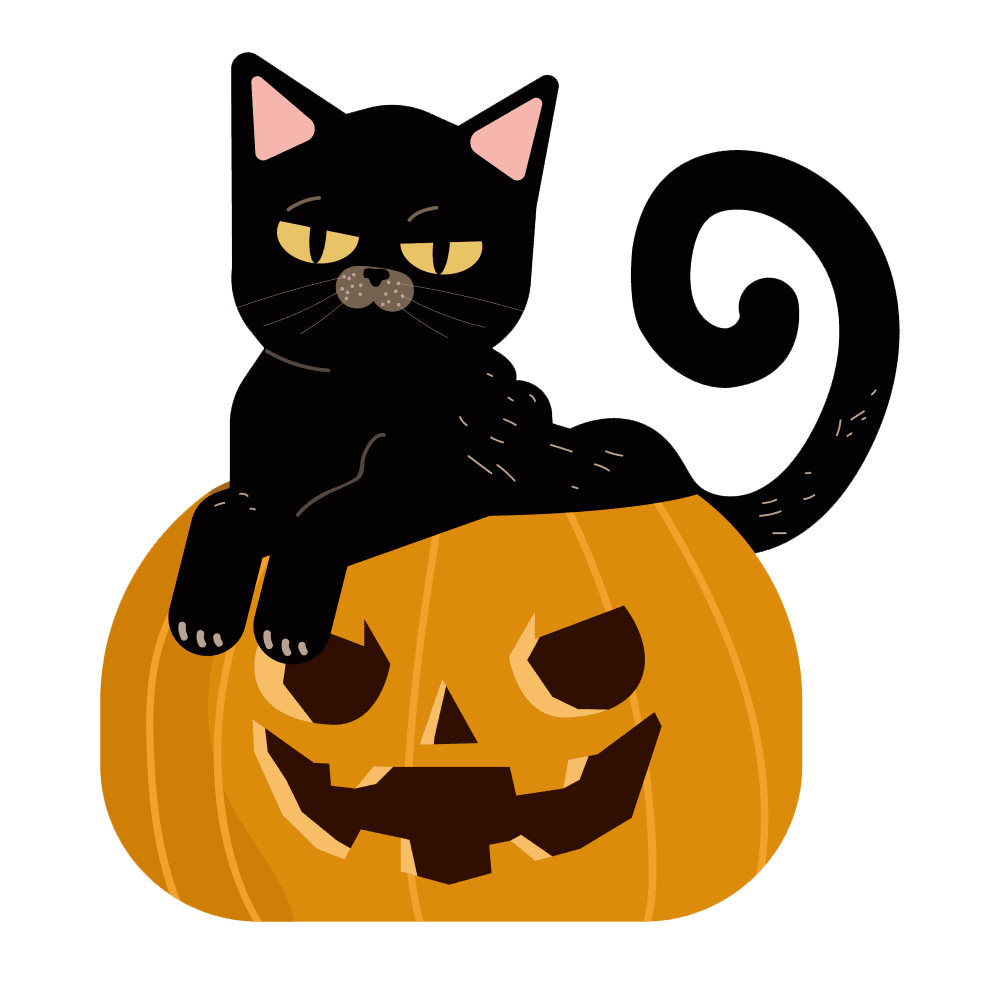 Jack lantern halloween cat with pumpk images hd photo clipart