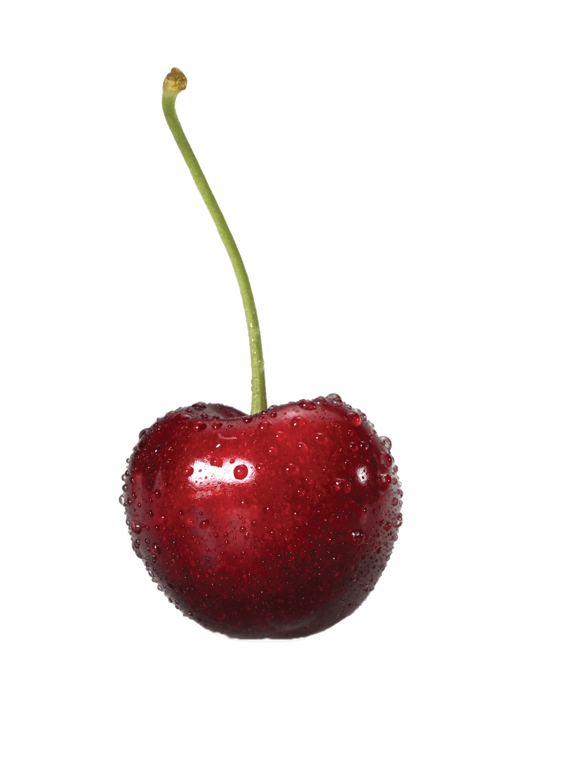 Cherry the produce clerk handbook clipart clip art