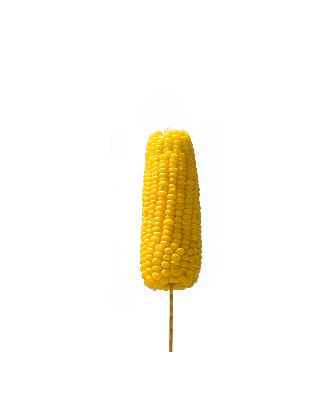 Corn image for clipart 3