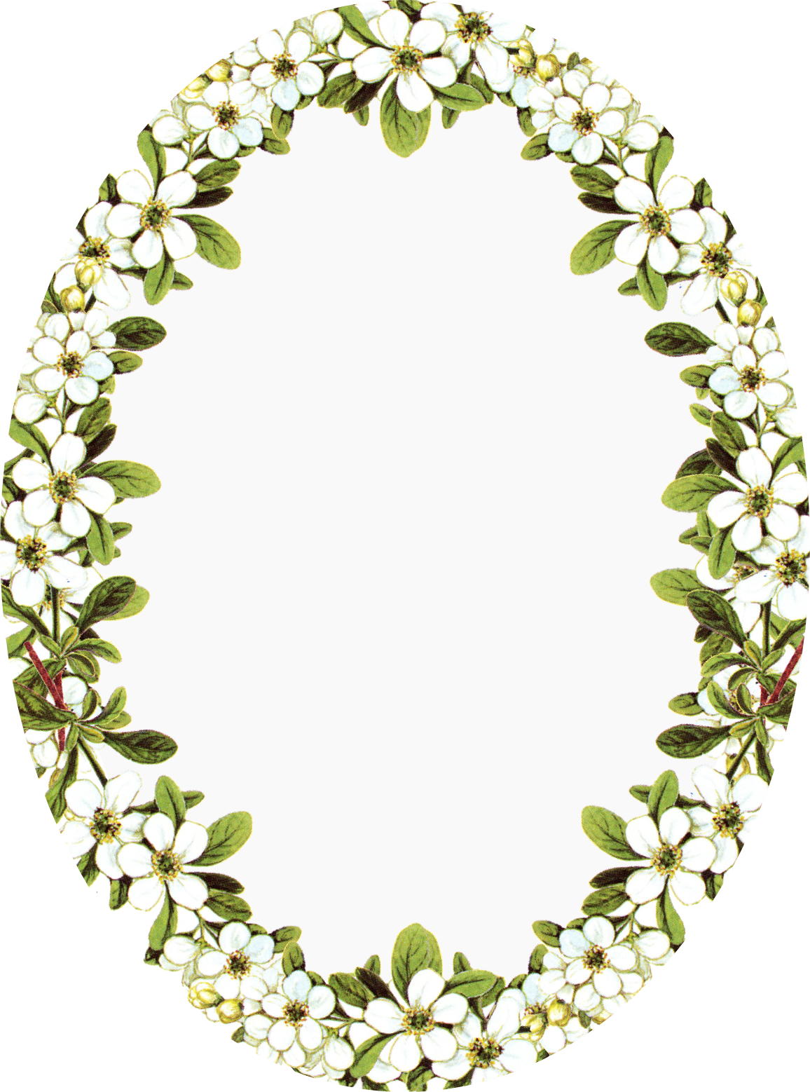 Flower border digital oval faux vintage frame blumenrahmen bies clipart photo