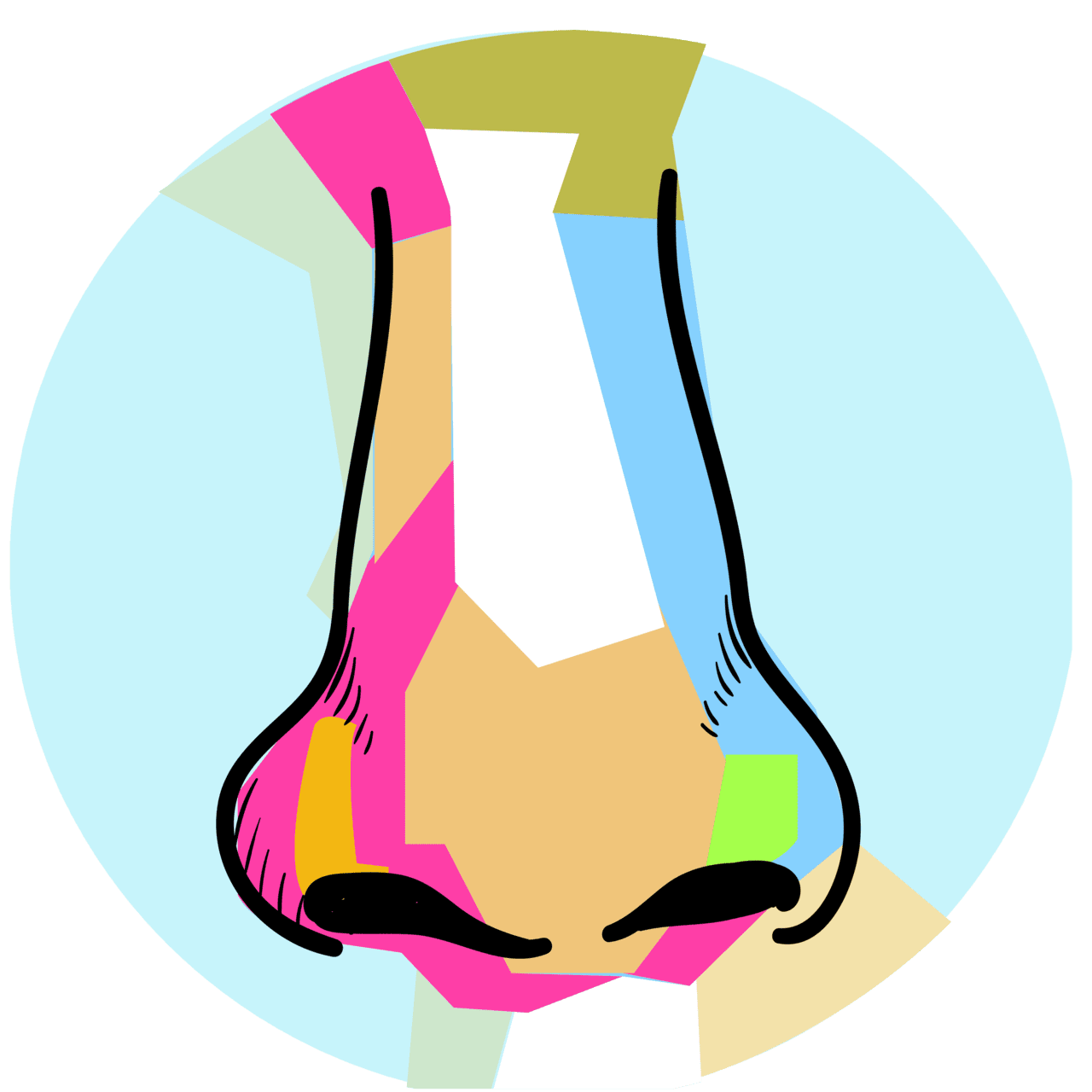 Nose euclidean vector clipart color