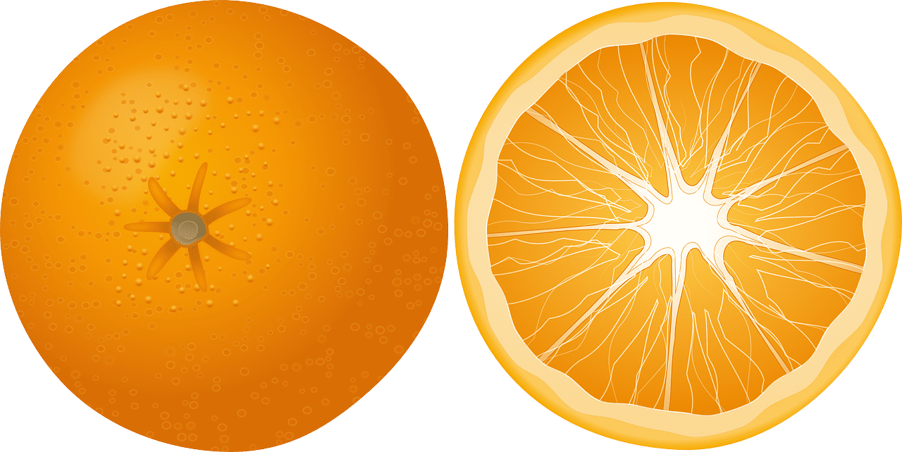 Orange fruit food vector graphic clipart