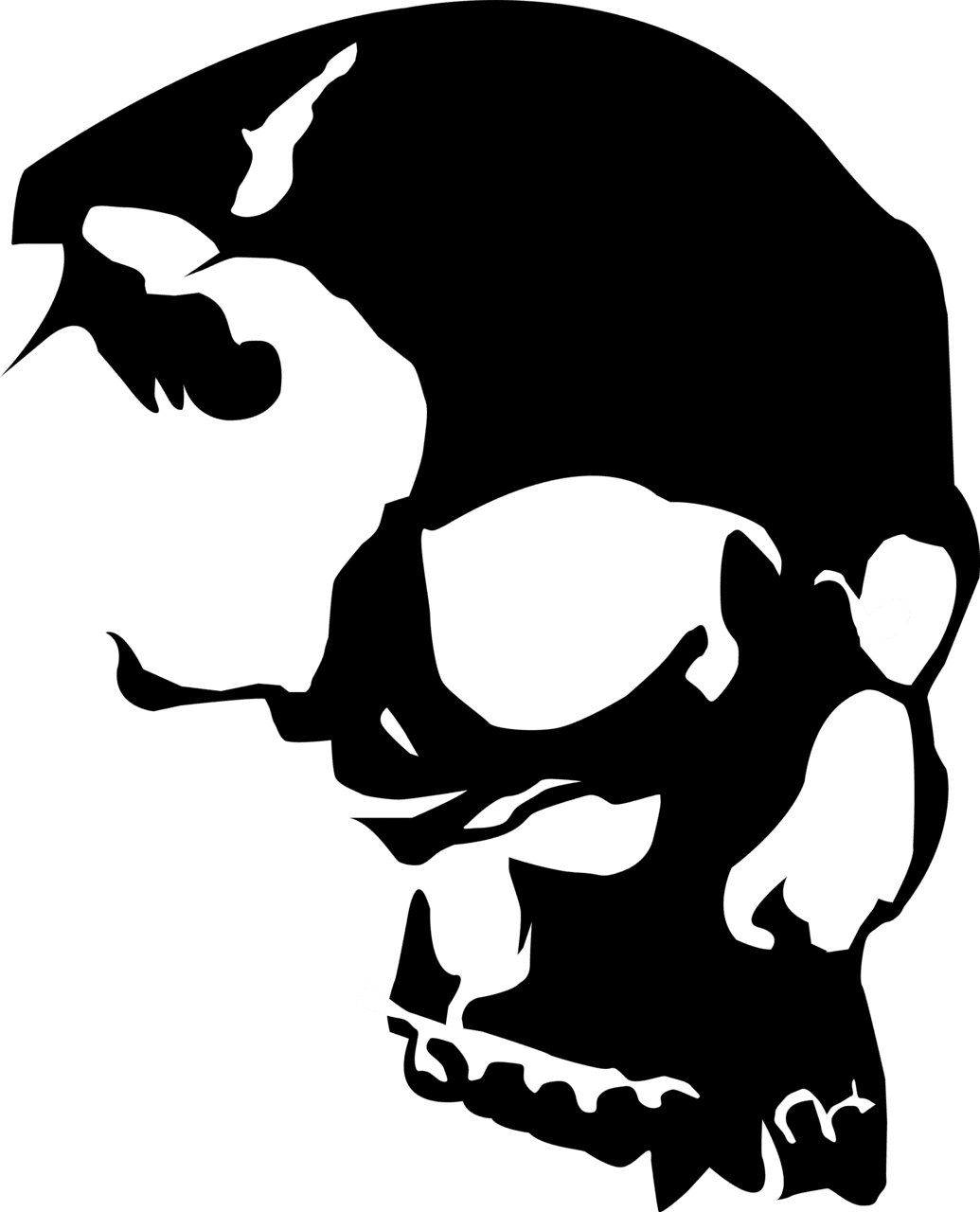 Skeleton vector skull clipart best