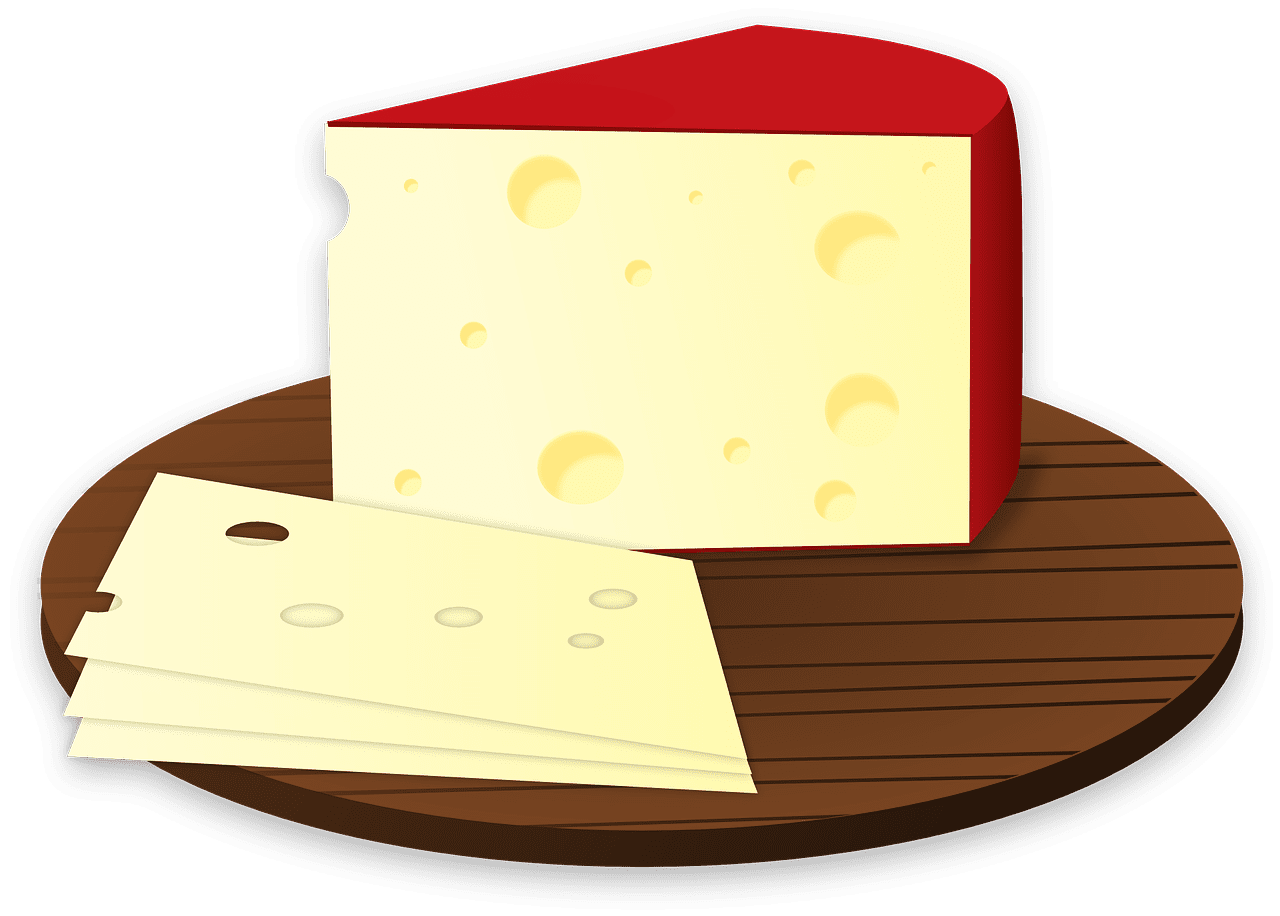 Edam cheese vector art graphics clipart