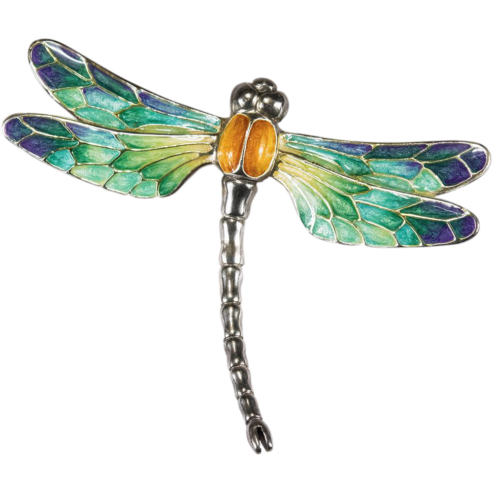 Dragonfly image with background clipart