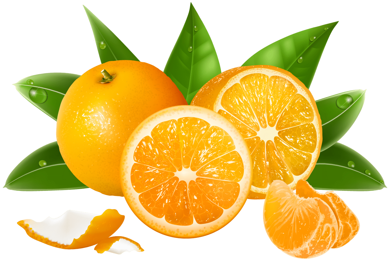 Orange clipart image high quality images and