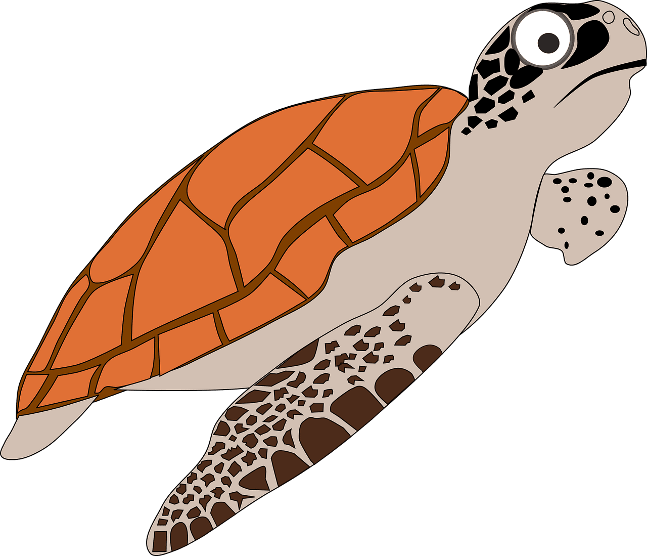 Sea turtle cartoon nature orange vector graphic clipart