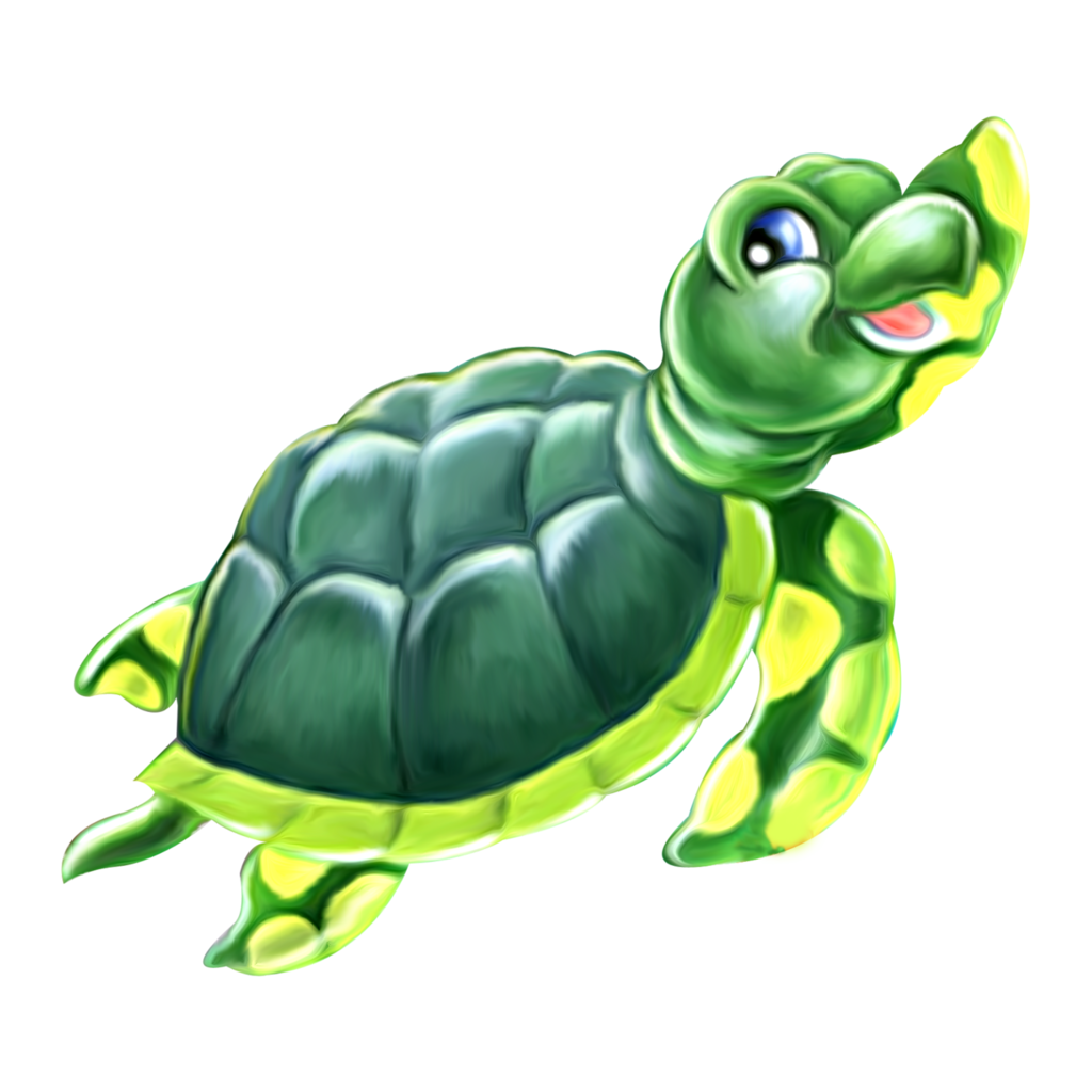 Sea turtle what ocean hides clipart background