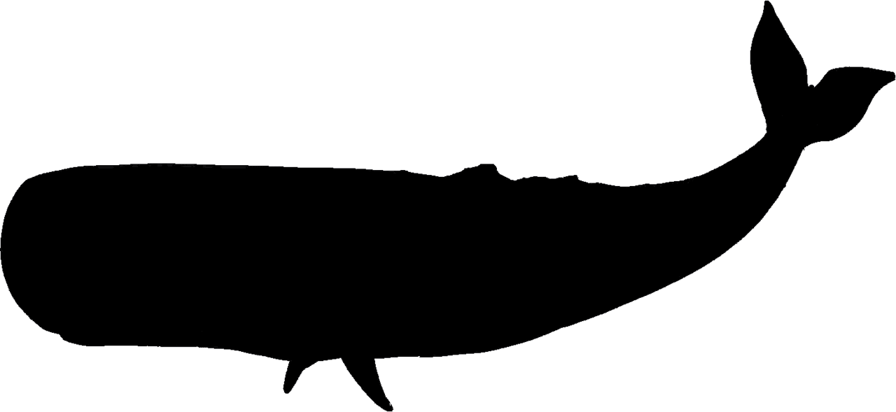 Whale pin page clipart background 3